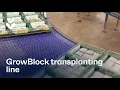 Download Lagu TTA-ISO GrowBlock Transplanting Line - Coletta \u0026 Tyson