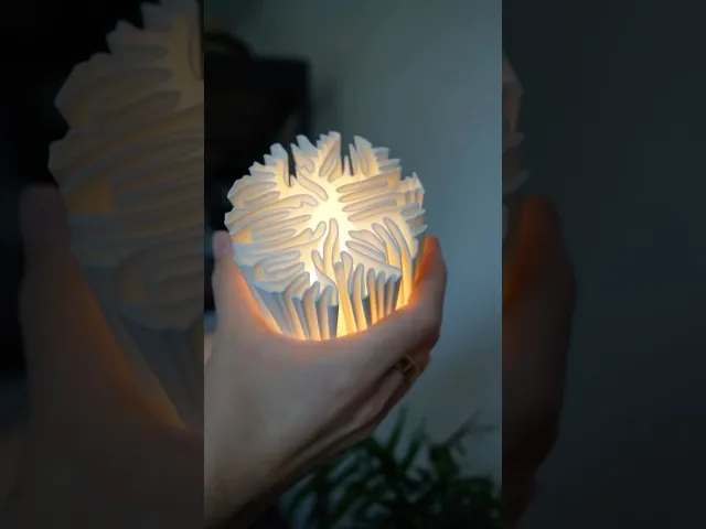 ORGANIS minimalist organic table lamp video thumbnail