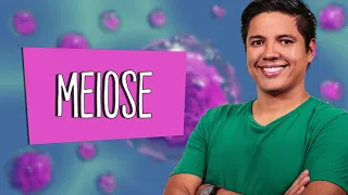 MEIOSE - DIVISÃO CELULAR - Prof. Kennedy Ramos