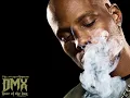 DMX-Party up in here