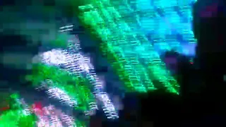 العندليب تامر صحافه      اخيرا قالها دندنها