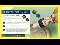 Petlab Co Dental Formula