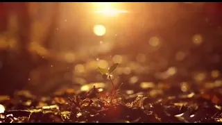 سبحانه من عظيم ما أعظمه دندنها