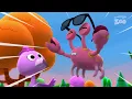 Una Familia de Hipopótamos | Canciones del Zoo