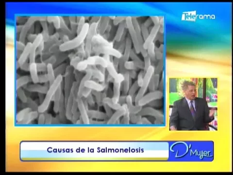 Causas de la Salmonelosis