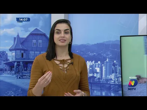 O que fazer com cachorros soltos no bairro