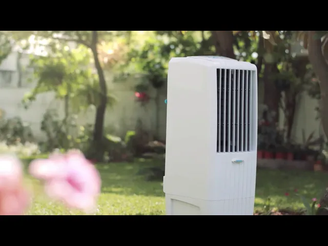 Vídeo do produto