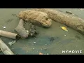 Download Lagu Pantai Bahagia Muara Gembong Bekasi