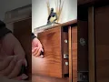 Vídeo do produto