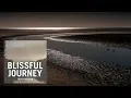 Download Lagu Peter Pearson - A Dream In Your Eyes [Blissful Journey 2016]