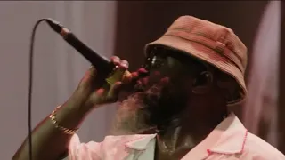 Concertgoers enjoy One Philly Unity Concert for America following rain delay