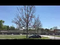 Seminole County Drive Road Test at Casselberry