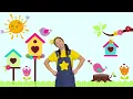 優秀少年好好《小花朵》⎮文藝匯演⎮兒童節舞蹈⎮畢業季舞蹈⎮運動會開幕舞蹈⎮幼兒律動⎮兒童舞蹈