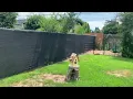 Windscreen4less Privacy Fence Screen Review