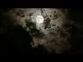 Sabr Alptekin - Nächtliche Gedanken