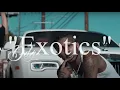 Download Lagu DDG - Exotics [Instrumental]
