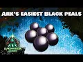 EASY Black Pearl locations - Ragnarok