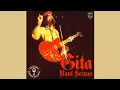 Download Lagu Raul Seixas | Gita