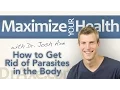 How to Get Rid of Parasites in the Body Naturally