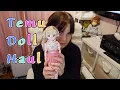 Temu Doll Haul Cute BJDs Doll Clothes