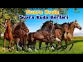 Download Lagu Suara Kuda | Suara Kaki Kuda Berlari, Suara Hewan Ternak Kuda Berlari