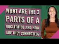 What are the 3 parts of a nucleotide and how are they connected