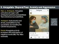 13 Human Behavioral Biology Limbic System 3 by Robert Sapolsky