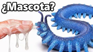 Conseguí un Gusano Alienígena de Mascota... (escupe baba)
