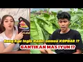 Lagu GUNG AYU BERENCANA HADIRI SEMUA KOPDAR SOBAT NGARIT DI SEMUA DAERAH. GANTIKAN MAS IYUN!?