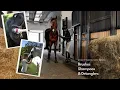 Grooming Supplies at Big Dee s Tack and Vet