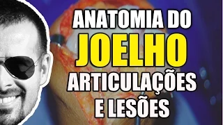 Dor no Joelho: Anatomia, Articulações e Lesões do LCA e Meniscos - Anatomia Humana - VíideoAula 101