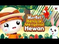 Lagu Belajar Mengenal Hewan  | Animasi Untuk Batita dan Balita Indonesia
