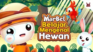 belajar mengenal hewan animasi untuk batita dan balita indonesia