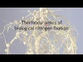 Nitrogen Topic 2 - Fixation Thermodynamics