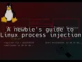 A Newbie s Guide to Linux Process Injection