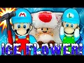 Mario and Luigi s Ice Flower - Super Mario Richie