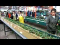 Bercomex Flower Processing Line Alstroemeria in Colombia