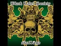 The Blessed Hellride (acoustic)
