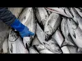 Take a peek inside the Fulton Fish Market
