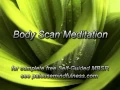 MBSR Body Scan Meditation 2013 version
