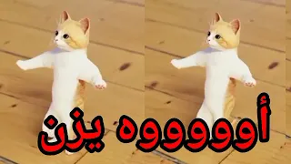 سيتم حذف الفيديو الأغنية الجديدة بالتعليق المثبت اغنية باسم  يزن  الزين  اغنية يزن الزين  دندنها