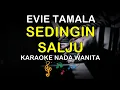 Download Lagu SEDINGIN SALJU - SEDINGIN SALJU ( EVIE TAMALA )