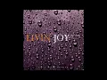 Livin Joy - Dreamer (HQ)