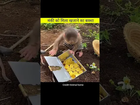Magic gold | Amazing videos in hindi #shorts