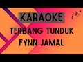 Download Lagu Fynn Jamal - Terbang Tunduk [Karaoke]