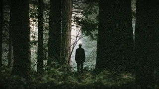 A Collection of Disturbing Stories