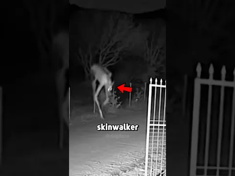 CCTV Footage of a Skinwalker vs Dog in the Yard