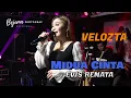 Download Lagu MIDUA CINTA - Evis Renata (VELOZTA)