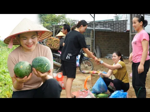 Download MP3 Mi Nhi was lonely alone, picking watermelons to sell at the market, and she missed Anh Vuong deeply.