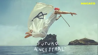Macaco - Si No Lo creo, No Lo Veo (Visualizer)